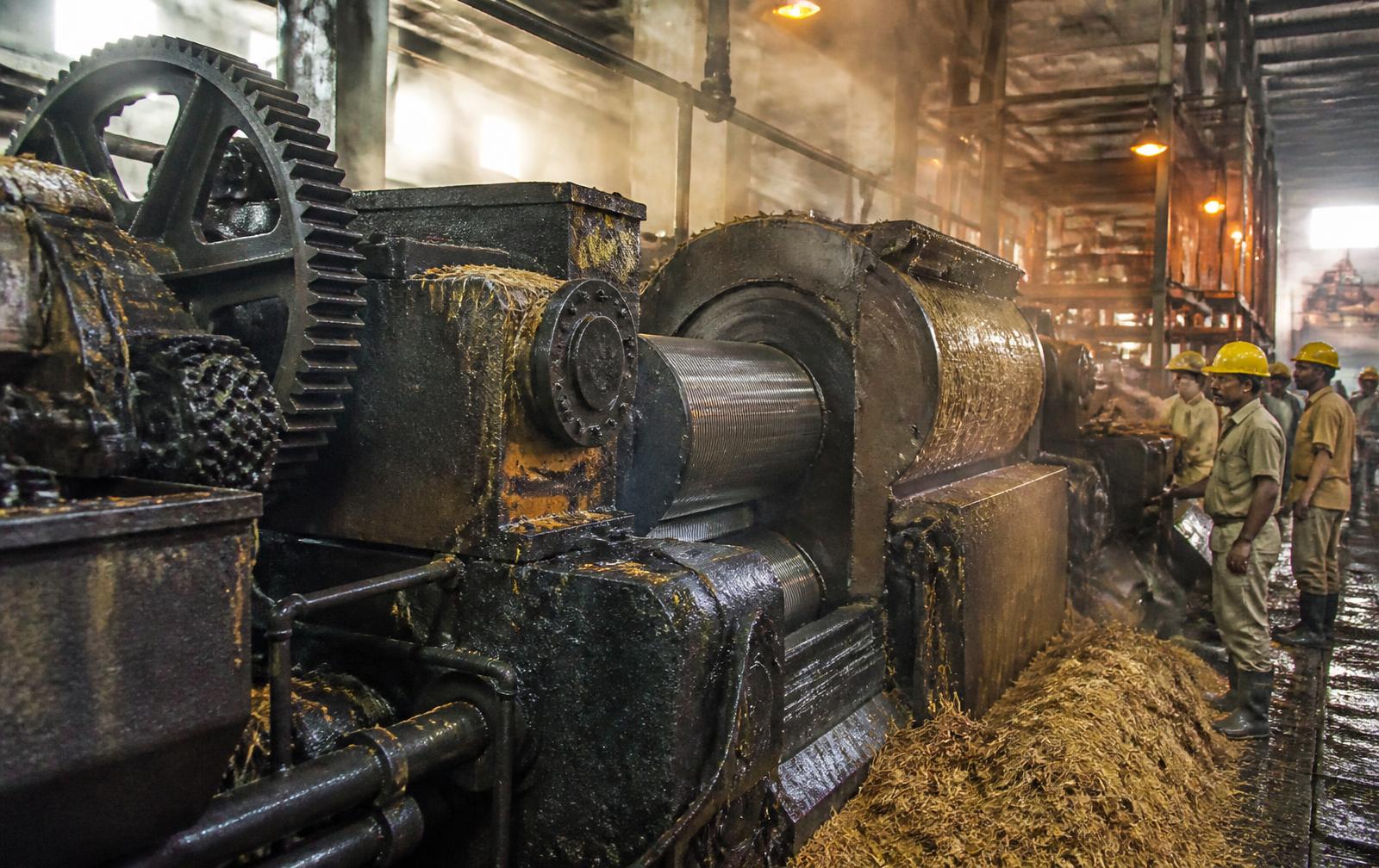 Cane crushing tandem with mill rollers inside a Pakistani sugar mill