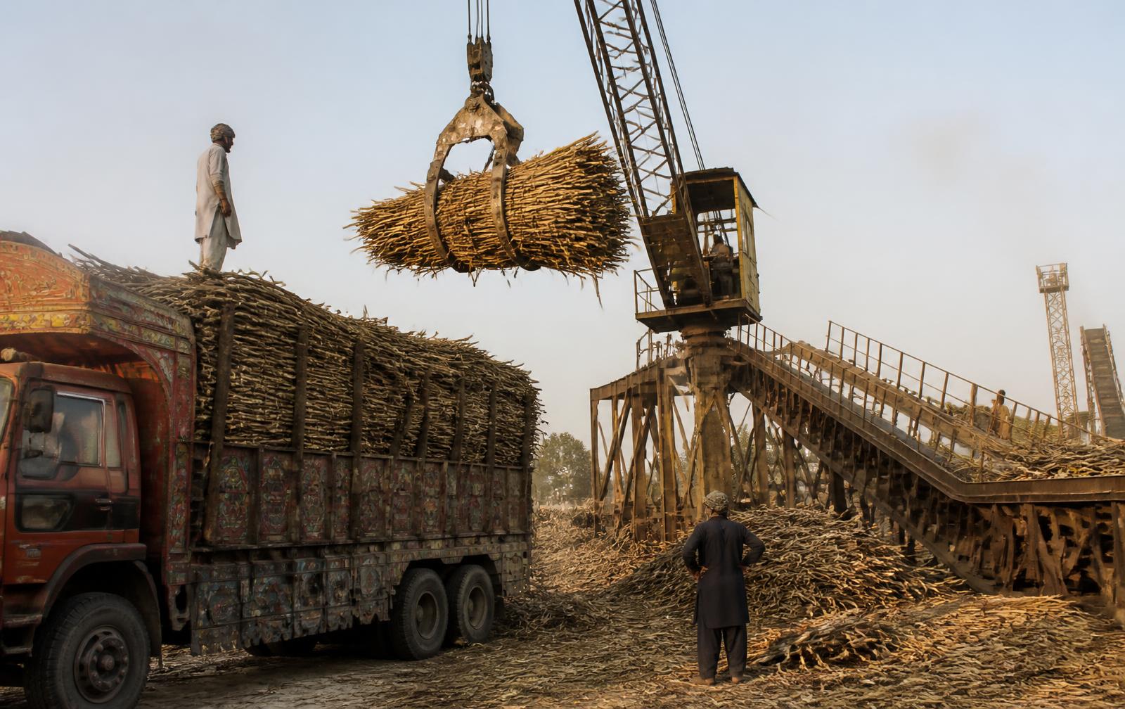 Cane unloader lifting sugarcane from a Pakistani truck onto the cane carrier