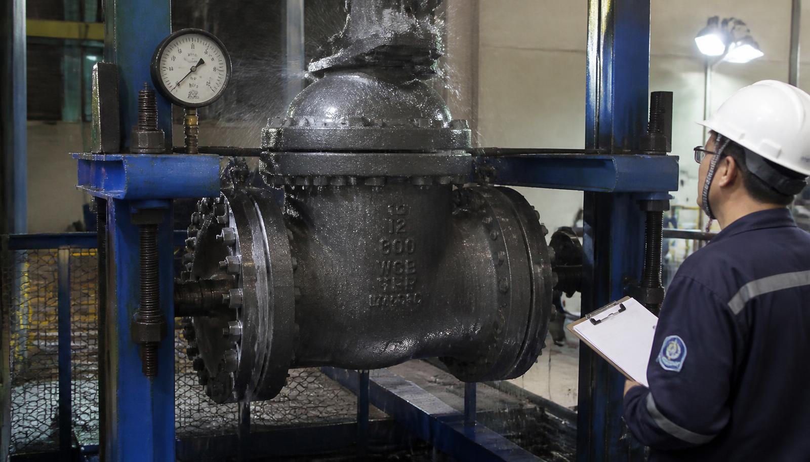 Globe Valves